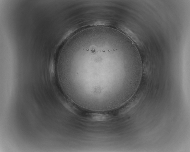 X0000111390347200907101151