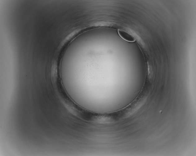 X0000111390348200907101151