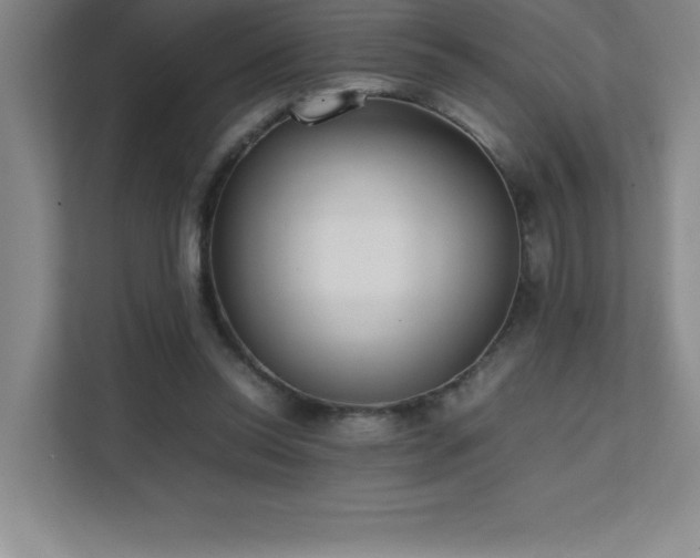 X0000111390350200907101151