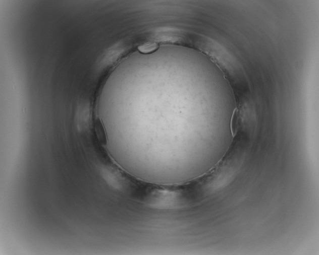 X0000111390352200907101151