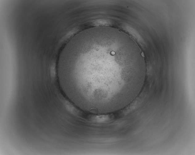 X0000111390353200907101151