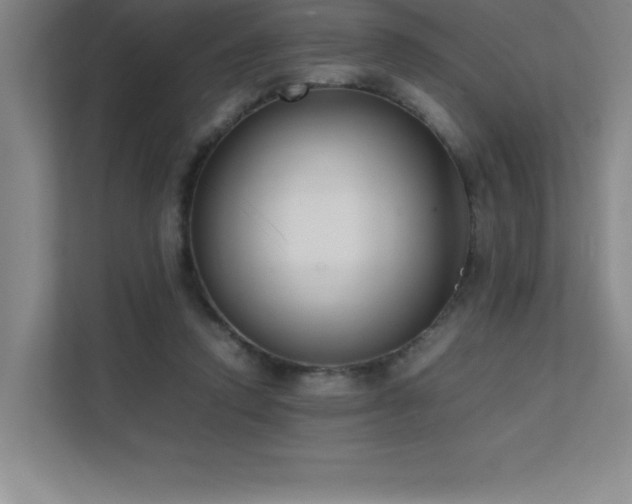 X0000111390354200907101151