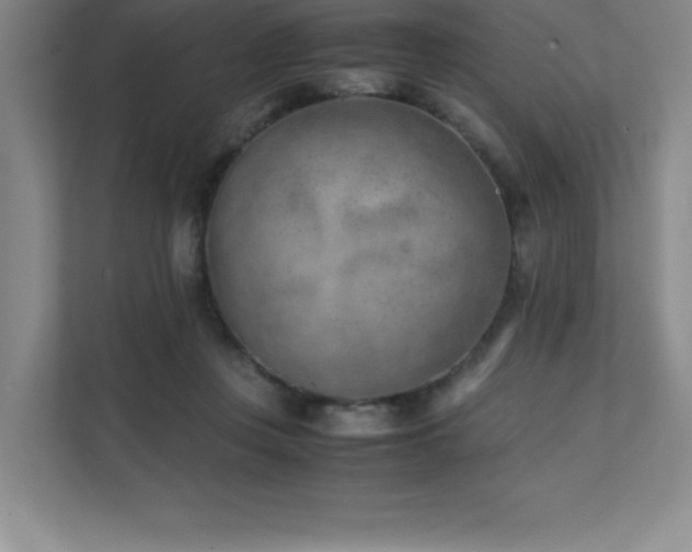 X0000111390359200907101151