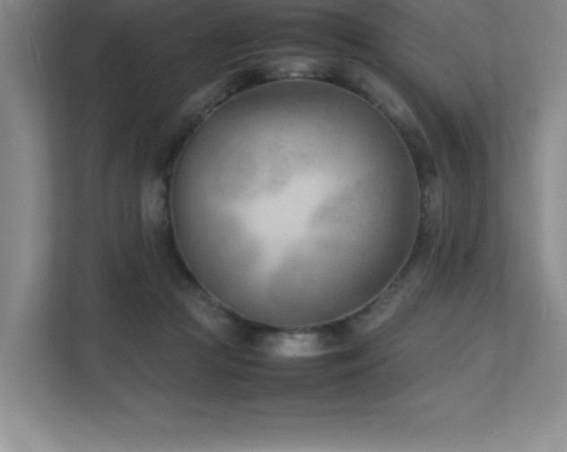 X0000111390361200907101151