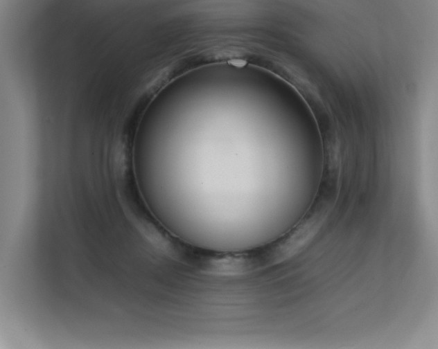 X0000111390362200907101151