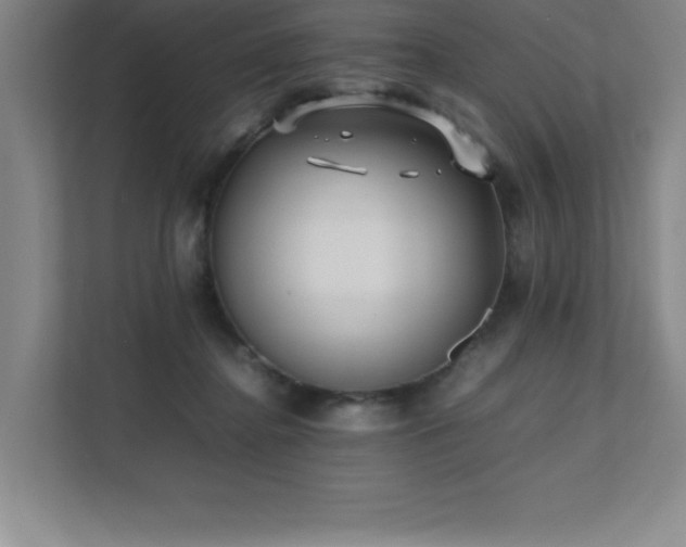 X0000111390364200907101151