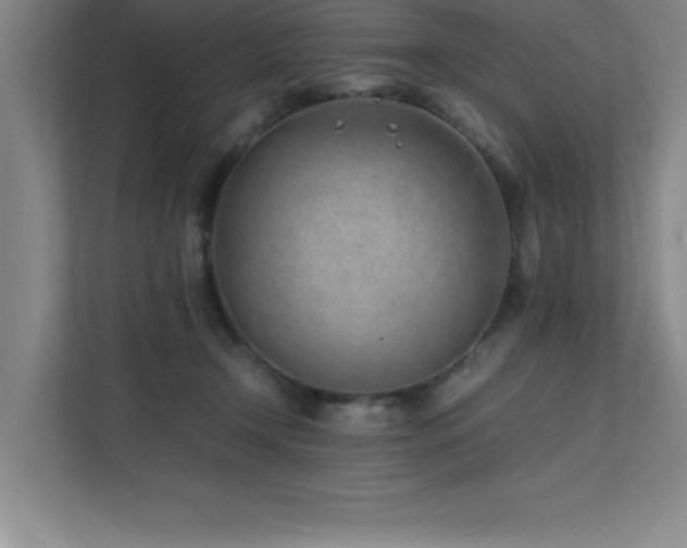 X0000111390366200907101151