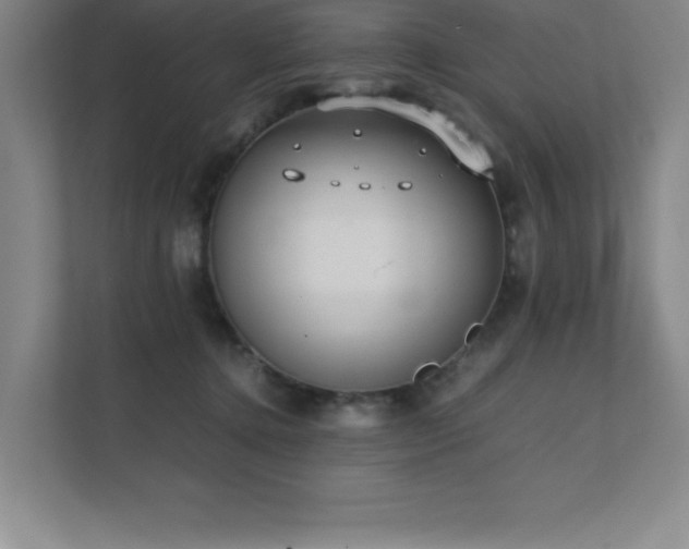 X0000111390368200907101151