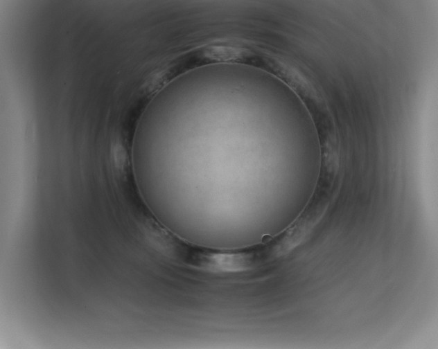 X0000111390371200907101151