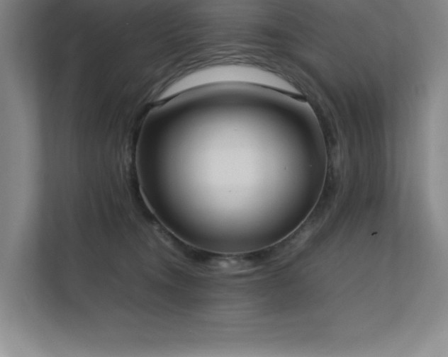 X0000111390372200907101151