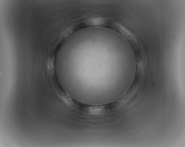 X0000111390373200907101151