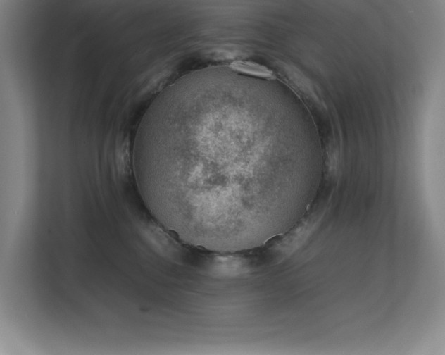 X0000111390376200907101151