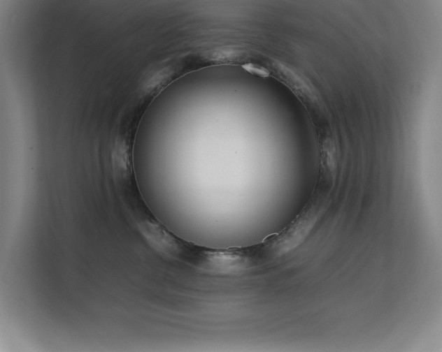 X0000111390380200907101151