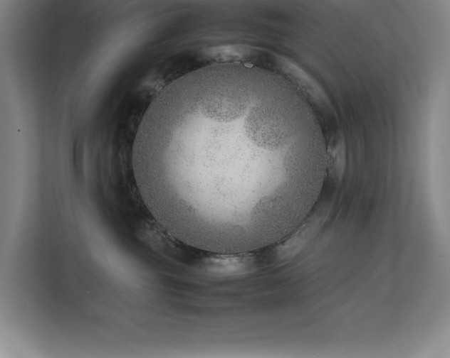 X0000111390381200907101151