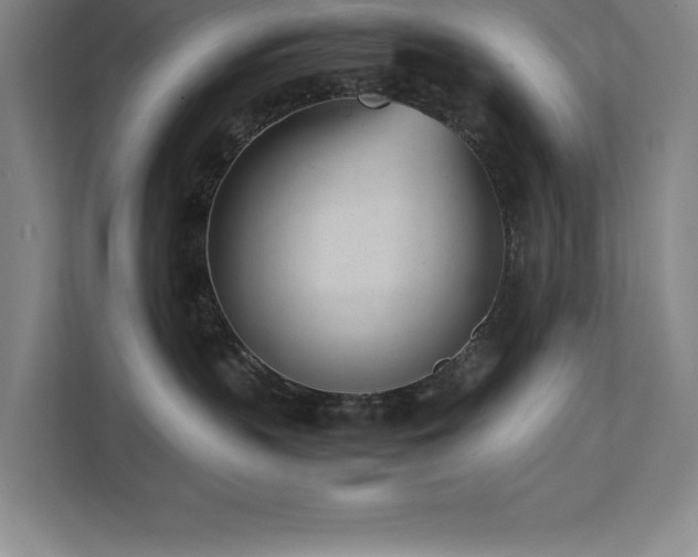 X0000111390383200907101151