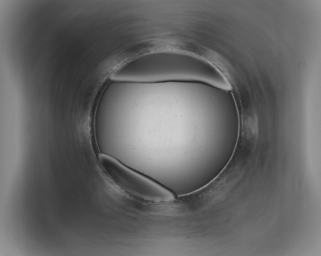 X0000111390389200907101151