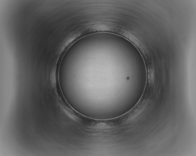 X0000111390390200907101151