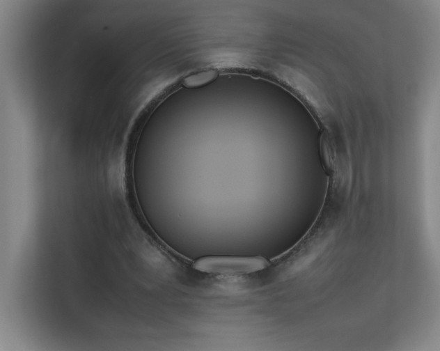 X0000111390391200907101151