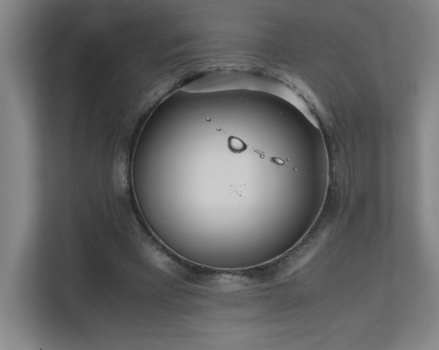 X0000111390393200907101151