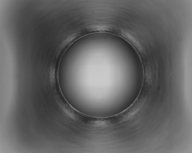 X0000111390394200907101151