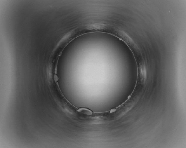 X0000111390396200907101151