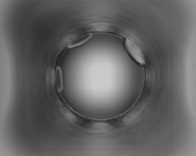 X0000111390397200907101151