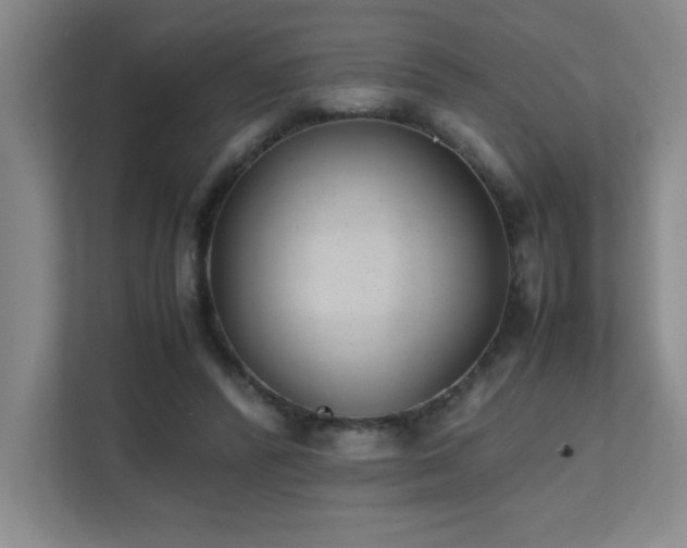 X0000111390400200907101151