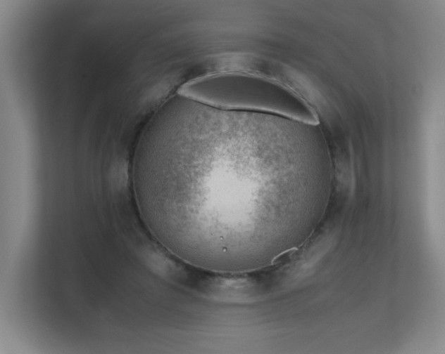 X0000111390401200907101151