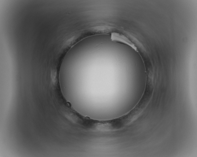 X0000111390403200907101151