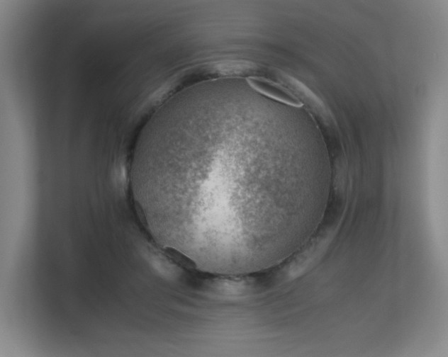 X0000111390405200907101150