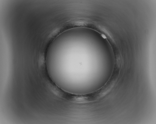 X0000111390407200907101150