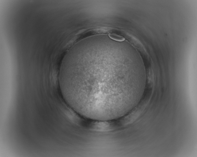 X0000111390409200907101150