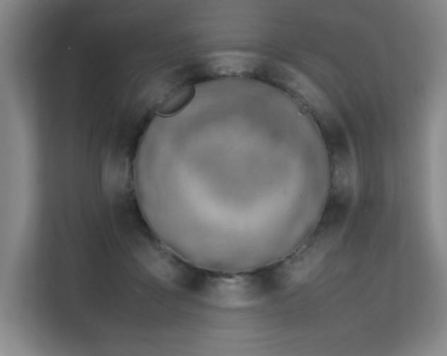 X0000111390411200907101150