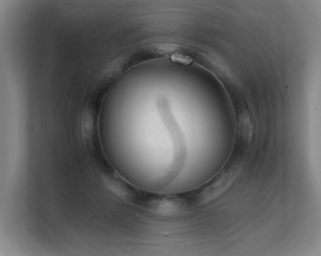 X0000111390412200907101150