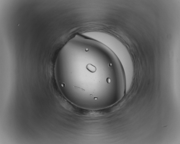 X0000111390413200907101150