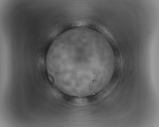 X0000111390415200907101150