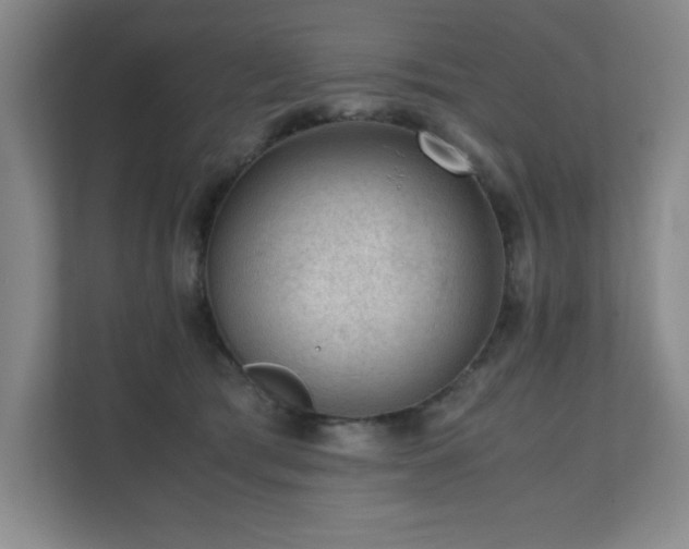 X0000111390417200907101150