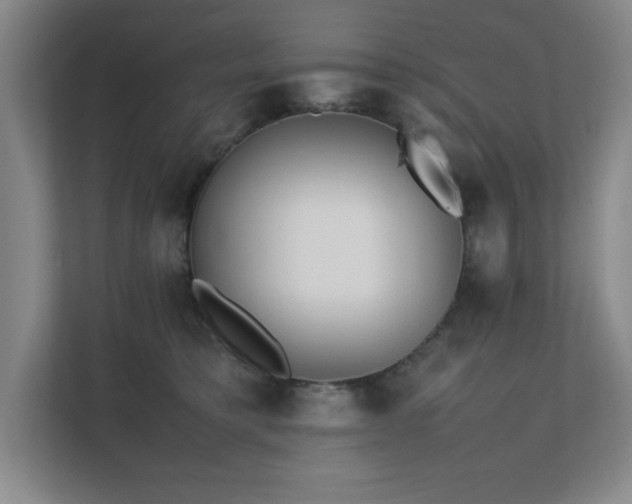 X0000111390421200907101150