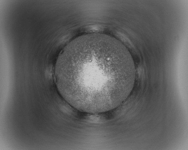 X0000111390423200907101150