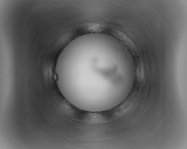 X0000111390424200907101150