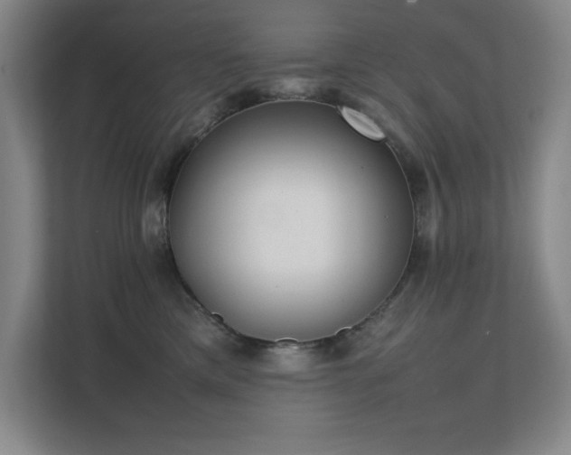 X0000111390425200907101150