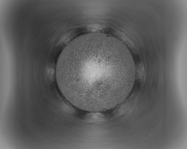 X0000111390427200907101150