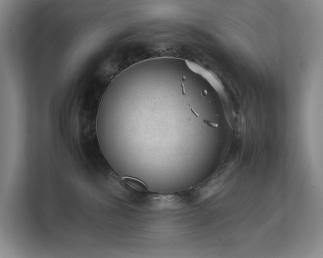 X0000111390428200907101150