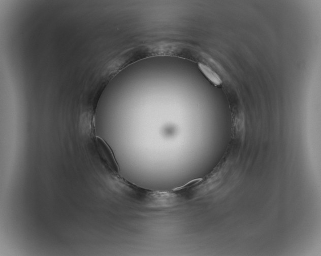 X0000111390429200907101150