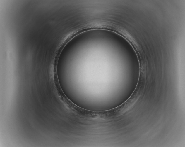 X0000111390434200907101150