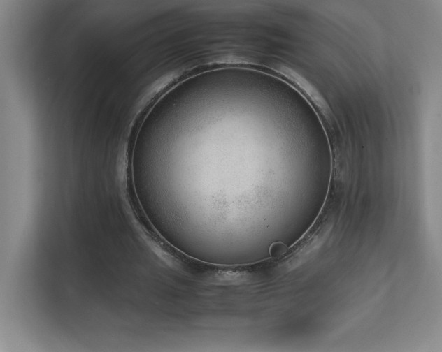 X0000111390437200907101150