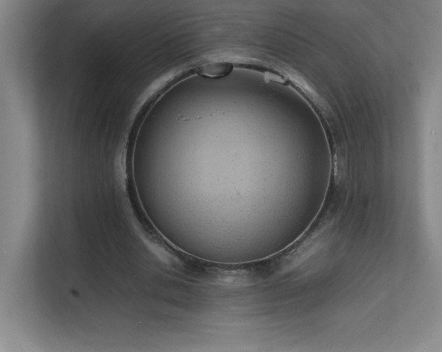 X0000111390438200907101150