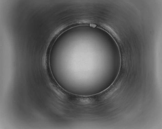 X0000111390439200907101150