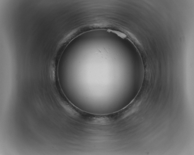 X0000111390446200907101150