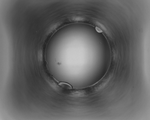 X0000111390447200907101150